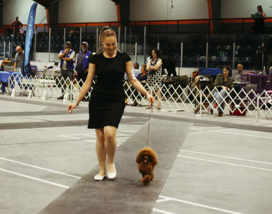 armonie molly et alina